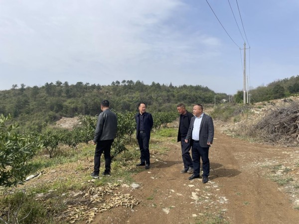 澧州實(shí)業(yè)公司助力回龍峪村構(gòu)筑產(chǎn)業(yè)夢(mèng)