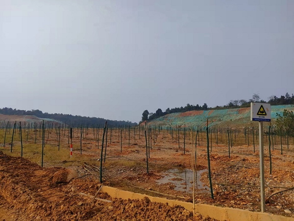 澧縣土地資源,澧縣公共基礎(chǔ)設施,澧縣工商業(yè)信息咨詢,澧縣澧州實業(yè)發(fā)展有限公司