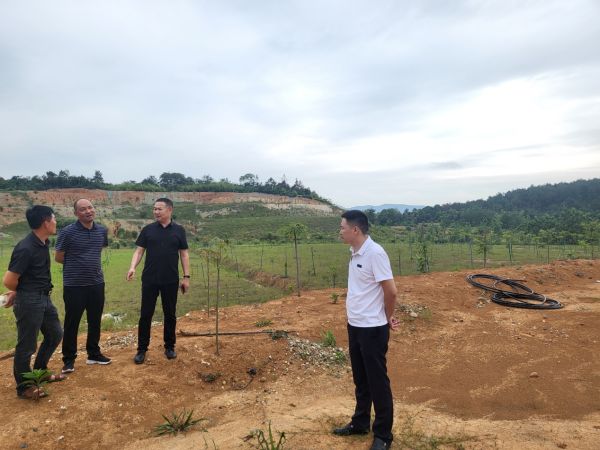 澧縣土地資源,澧縣公共基礎設施,澧縣工商業(yè)信息咨詢,澧縣澧州實業(yè)發(fā)展有限公司