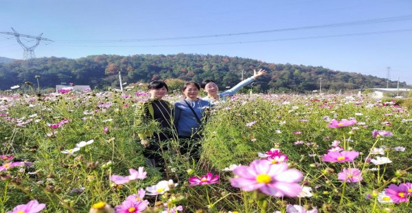 澧縣土地資源,澧縣公共基礎設施,澧縣工商業(yè)信息咨詢,澧縣澧州實業(yè)發(fā)展有限公司